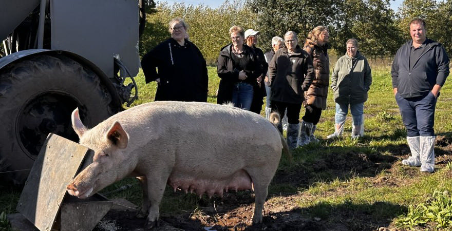 køkkenpersonale fra plejehjemskøkkenerne